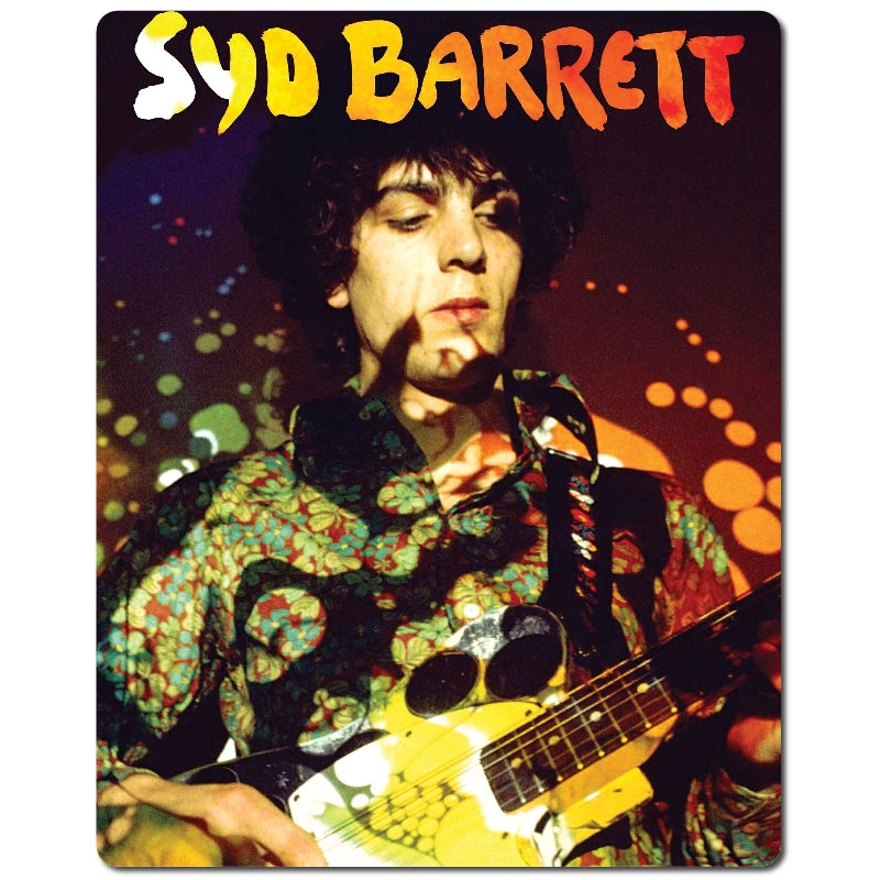 Paisley Plays Aluminum Print