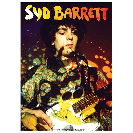 Paisley Plays Glass Print