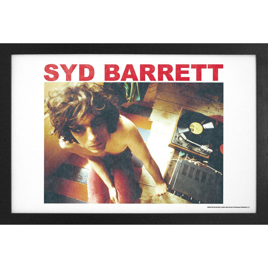 Syd Barrett - Looking Up 11x17 Framed Print
