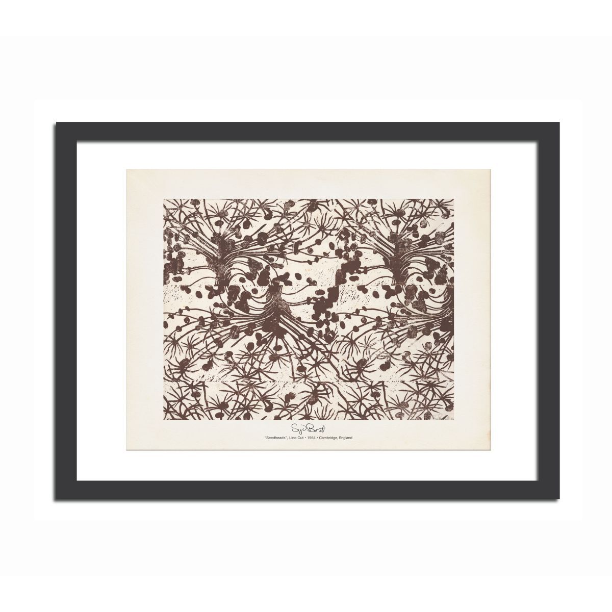 Seedheads 11x14 Print