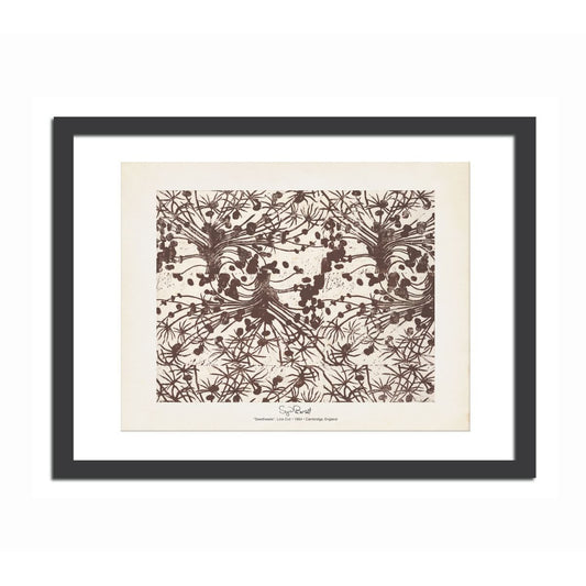 Seedheads 11x14 Print