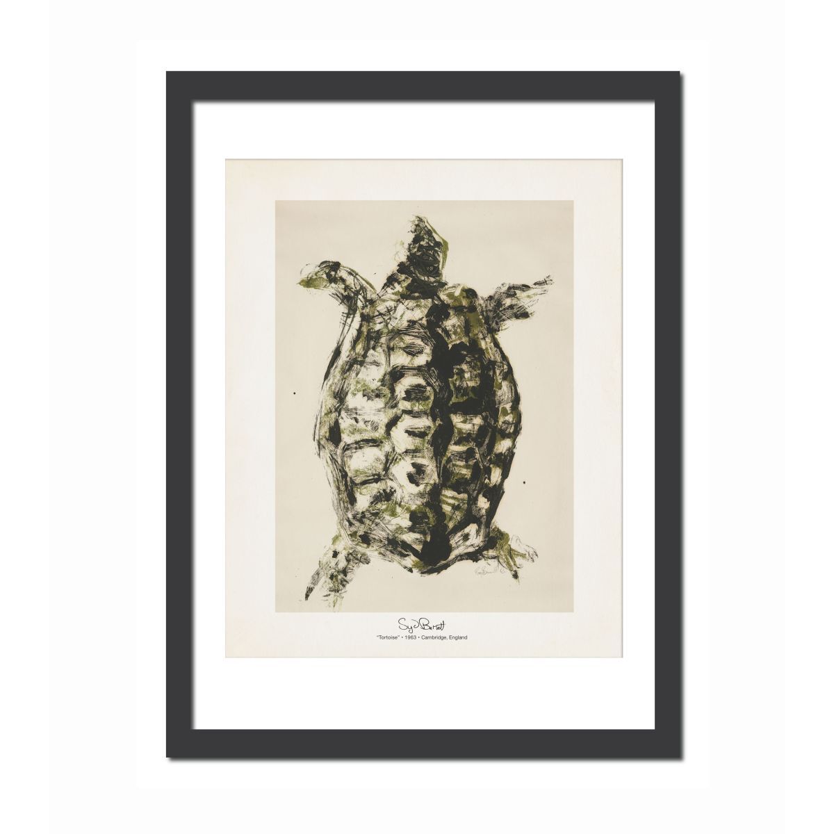 Tortoise 11x14 Print