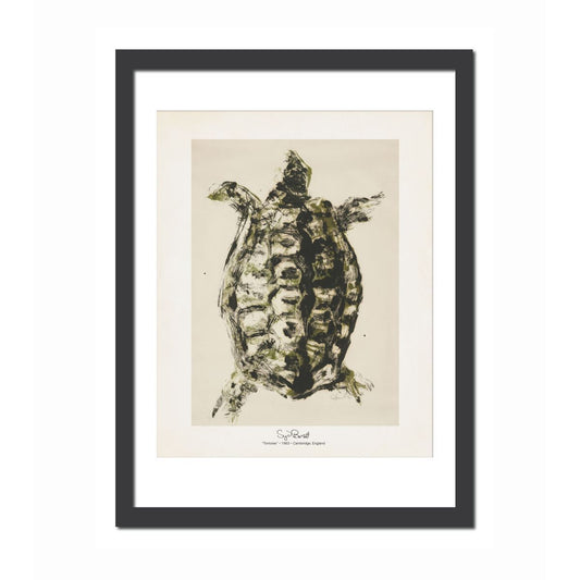 Tortoise 11x14 Print